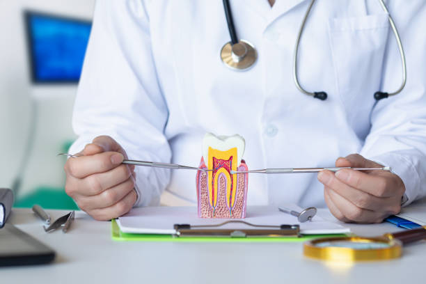 Best Emergency Tooth Extraction in Plymouth, MI